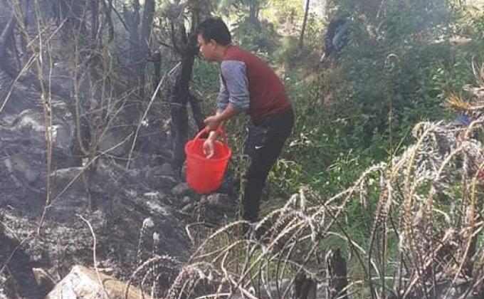 Help in control forest fire