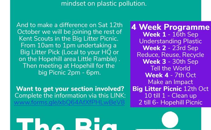Big Litter Picnic
