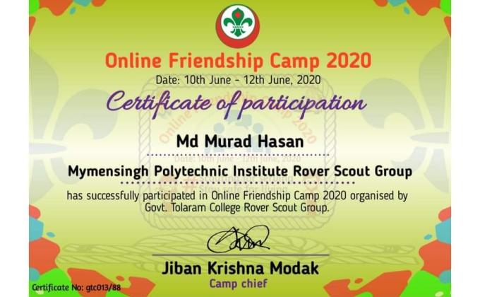 Online Friendship Camp