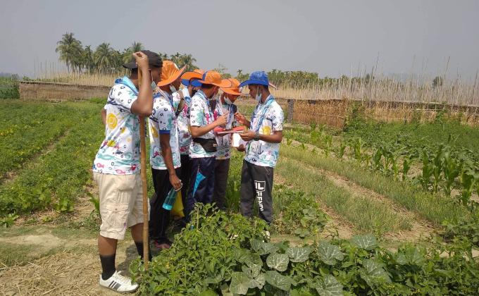 Haiking and scout skills