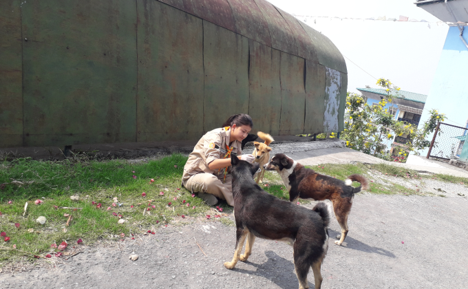 Feeding stray dogs 