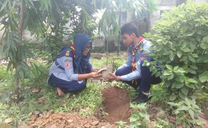 বৃক্ষ রূপন কর্মসূচি