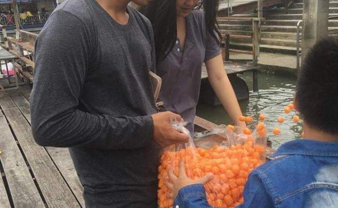 บริจาคอาหารปลา ปล่อยปลาและให้อาหารปลา