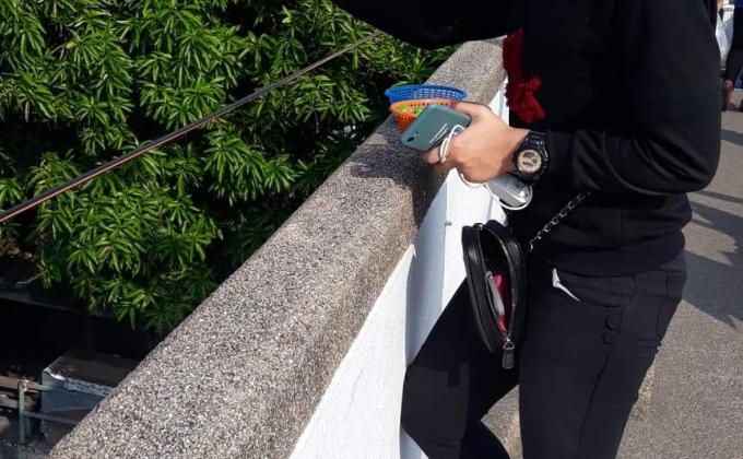 ให้อาหารปลา