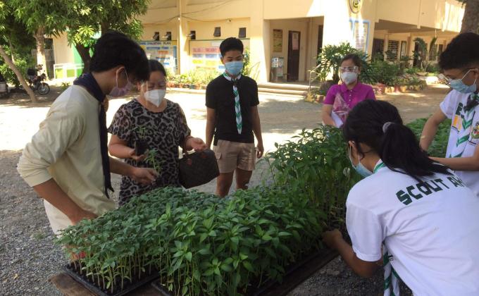 Messengers of Peace: Vegetable Seedlings Pantry