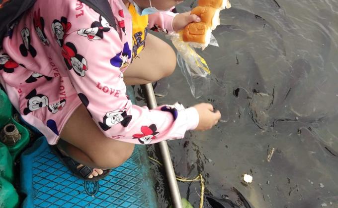 ให้อาหารปลา