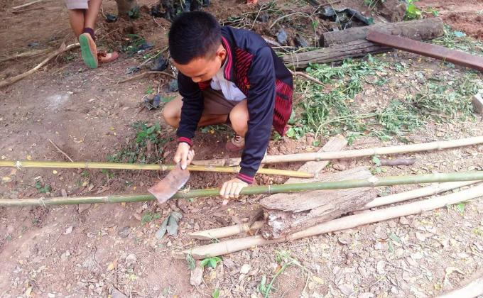 ตัดไม้ทำเรือนเพาะชำ