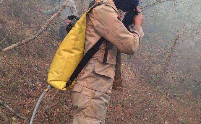 To Put Out the Forest Fire 