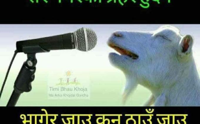 Cultural promotion through scouting.