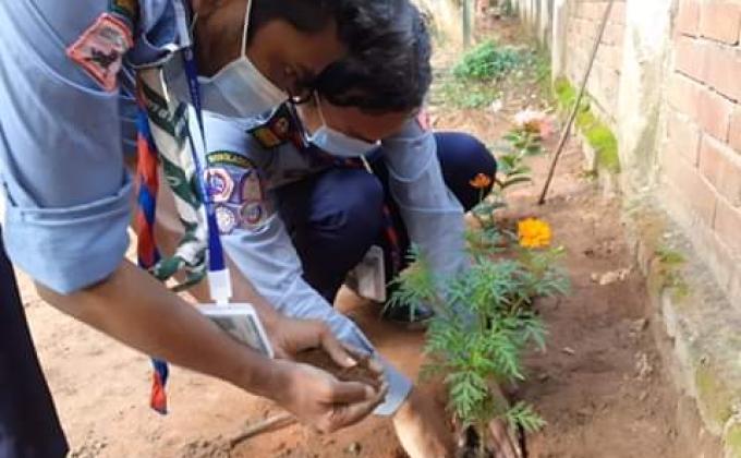 বৃক্ষ রোপন কর্মসূচি 