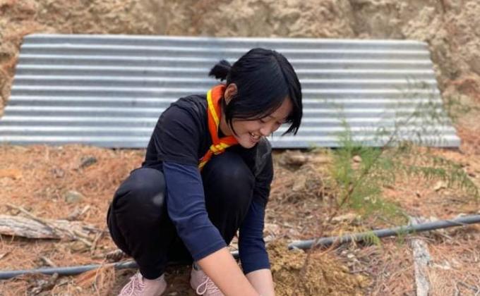 Sapling plantation