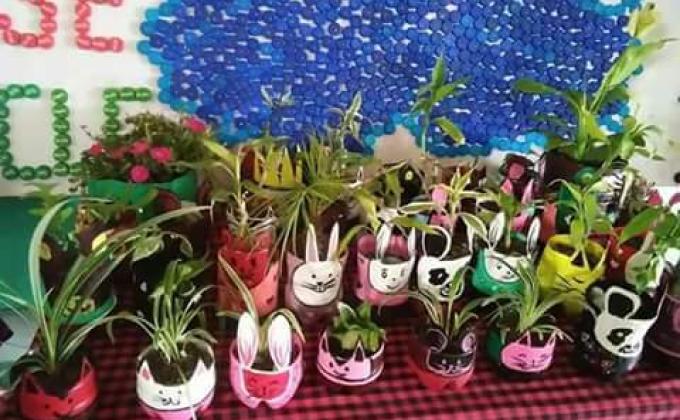 Towards green Bhutan