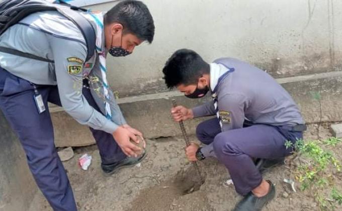 বৃক্ষ রোপণ কর্মসূচি