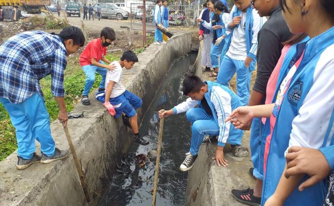 Cleaning Campaign