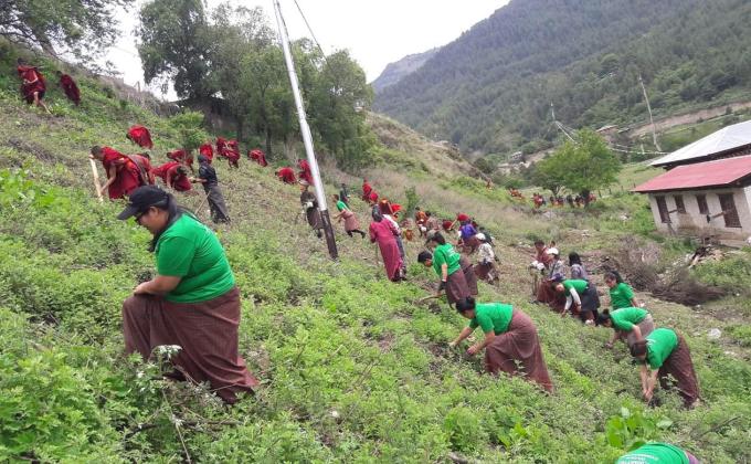 Lets mark the day and plant the trees