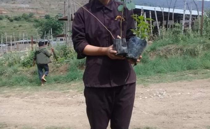 international forest day