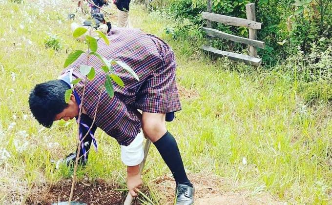 Social Forestry Day