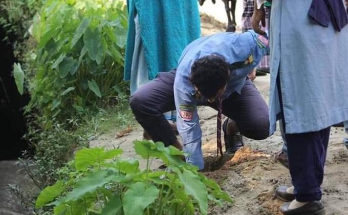 বৃক্ষরোপণ 