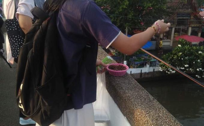 ให้อาหารปลาที่หนองแขม