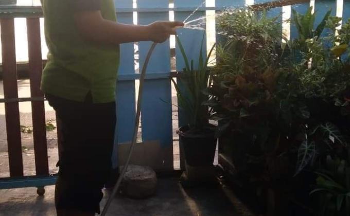 รดน้ำต้นไม้