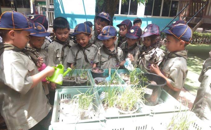 เรียนรู้การดูแลต้นกล้า