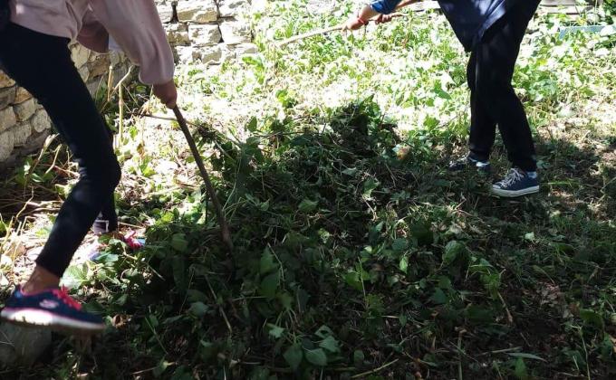 Gardening 