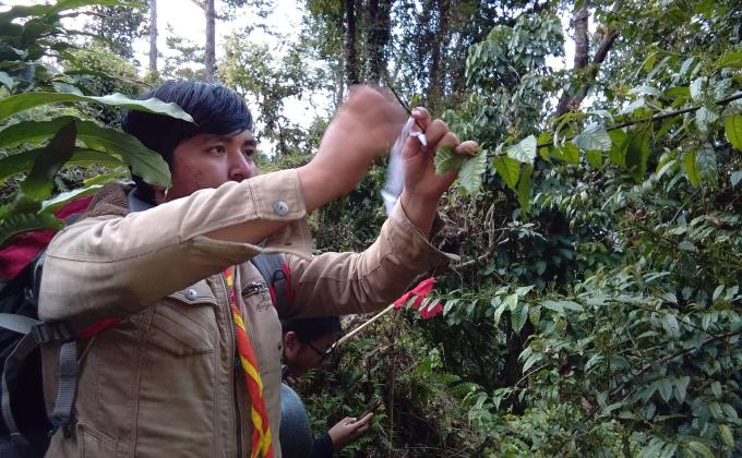 Empower, Educate and Engage youth