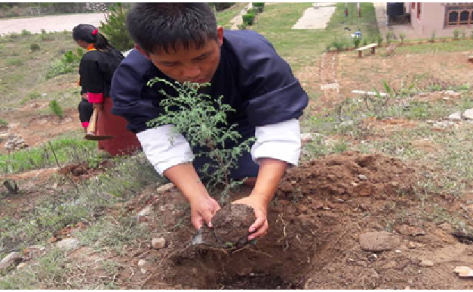 Celebration of World Environment Day. 
