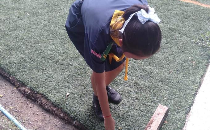 เก็บขยะในวิลัย