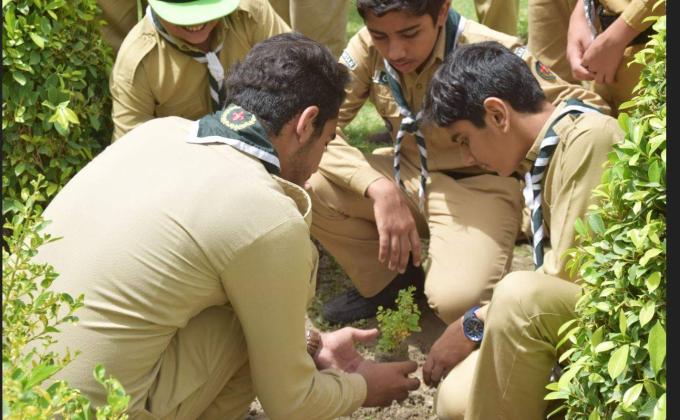 PLANTATION ACTIVITY