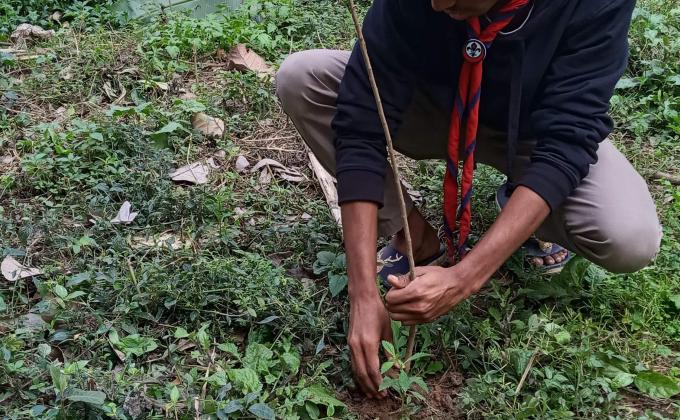 বৃক্ষরোপন কার্যক্রম ২০১৯