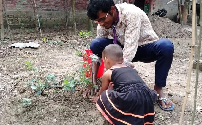 বাড়িতে থেকে গাছ রোপন 