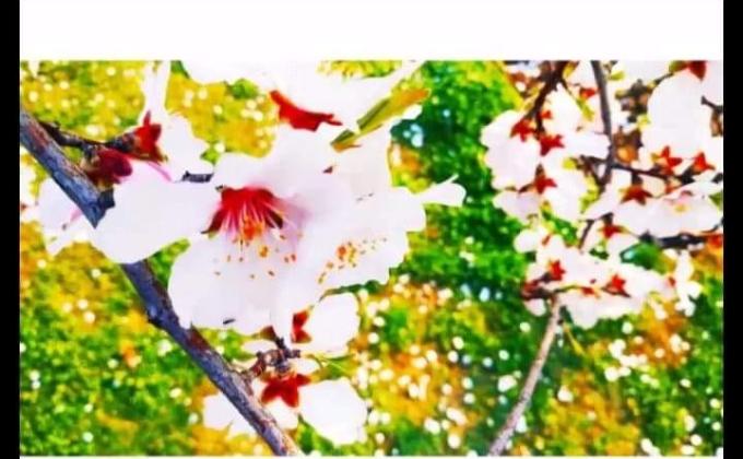 Observed "World Environmental Day 2020"