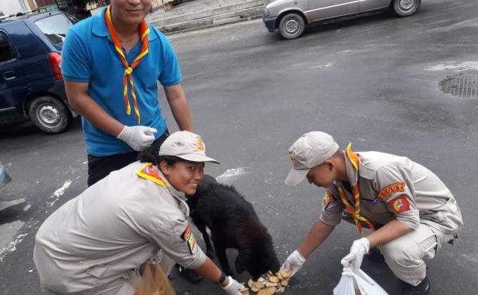 Dog feeding day