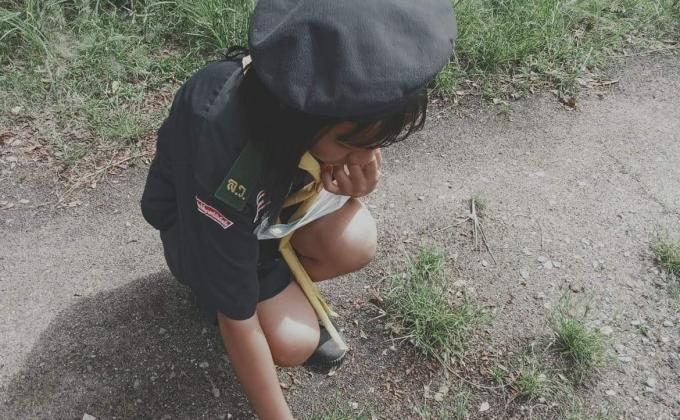 เก็บขยะ