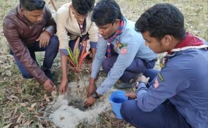 বৃক্ষ রোপন প্রকল্প 