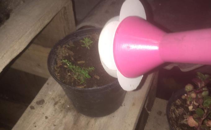 ลดน้ำต้นไม้เพื่อลดโลกร้อน