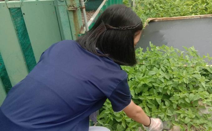 จิตอาสา