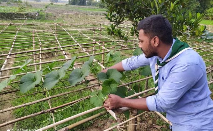 সবজি গাছের পরিচর্যা