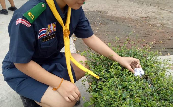 เก็บขยะในหญ้า