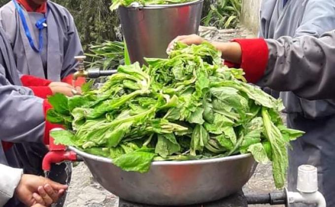 Pot Vegetable Farming