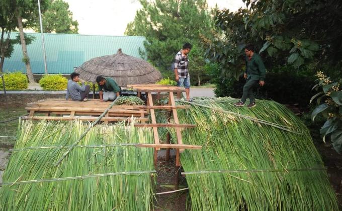 Repairing of Gazebo at CNR