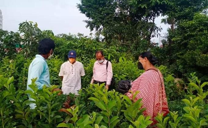 বৃক্ষ রোপন কর্মসূ‌চি