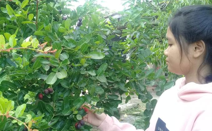 บำเพ็ญประโยชน์