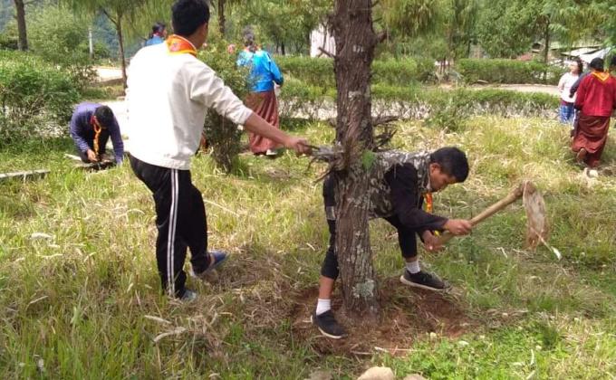 Celebrating social forestry day