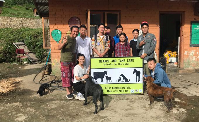 Creating a homely environment for animals