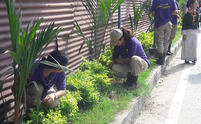 World environment day