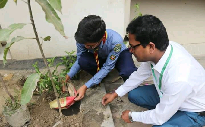 বৃক্ষ রোপণ কর্মসূচি