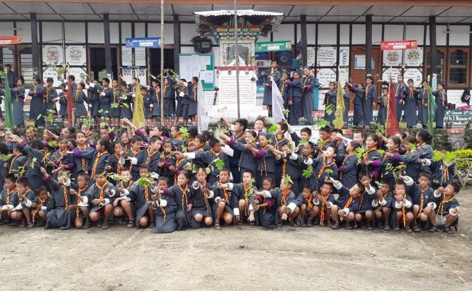 One Scout one plant for SDG