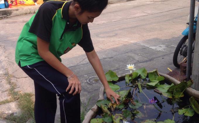 ให้อาหารปลา